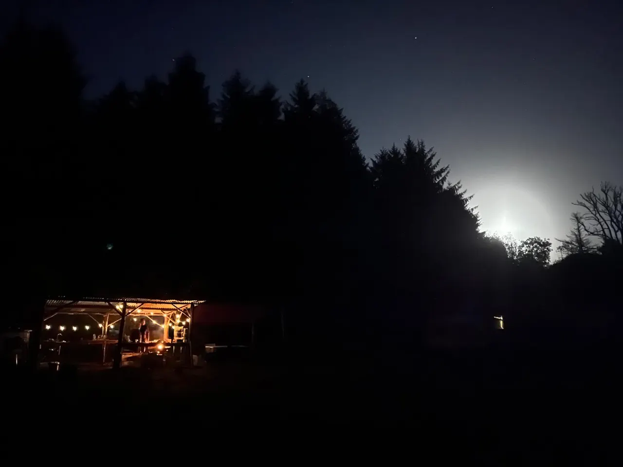 cooltrees-007_fieldkitchen_night