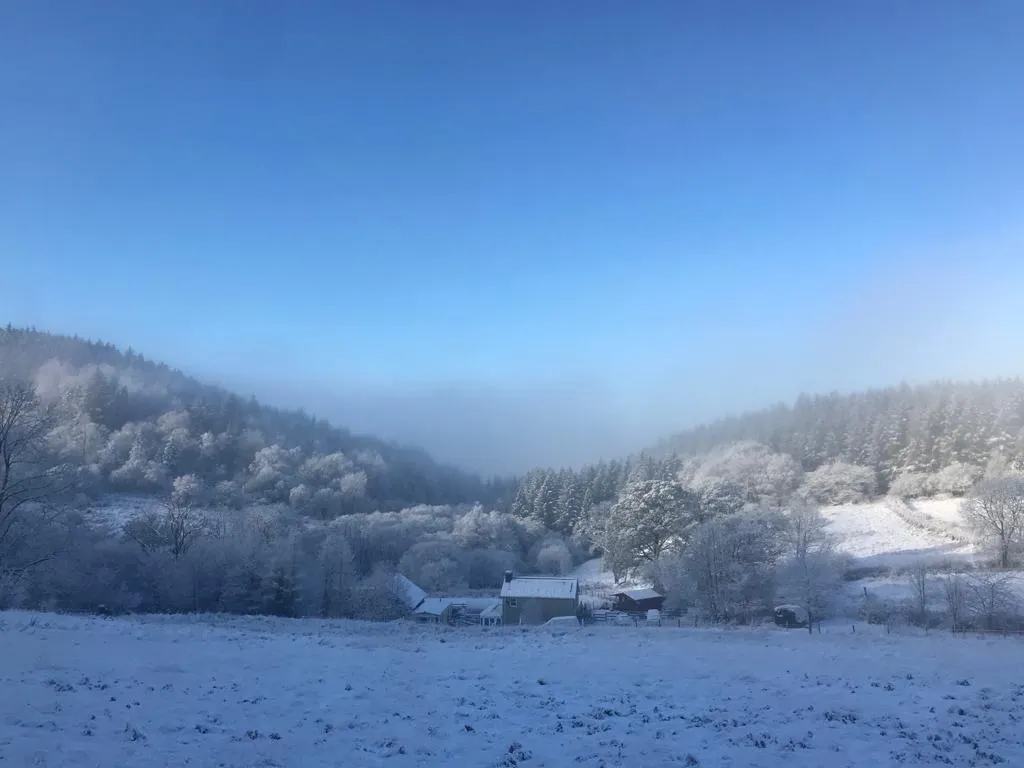 cooltrees-2XKpjNgApOJMfPC0BqWilSb6wppOk3NXt0tmCKIbDTw=_plaintext_638236555539714096