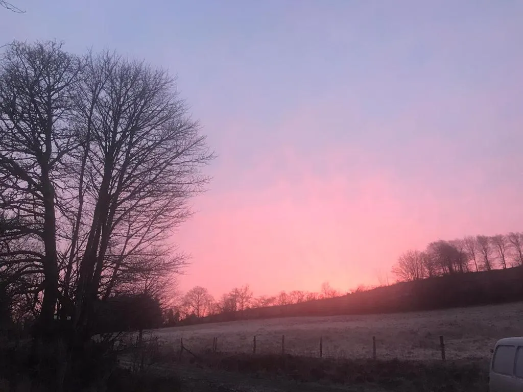 cooltrees-8bf8kHSE5nSVmEBD3tC7XrGfpE7iEv7nWTNOb03r6cQ=_plaintext_638222848100179958