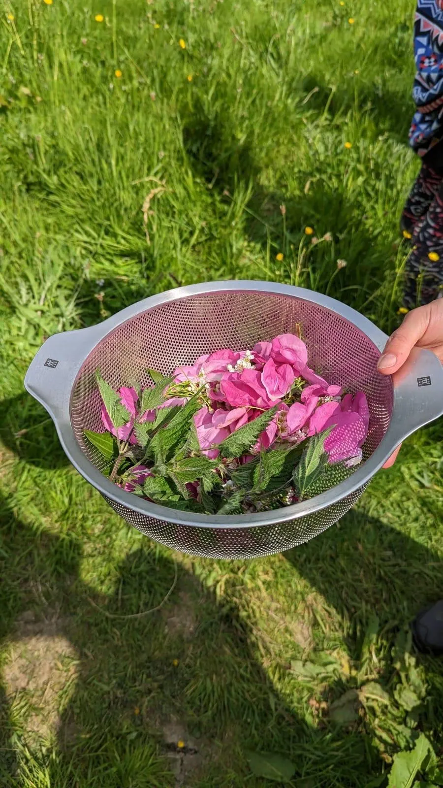 cooltrees-Co0xrCg6VMjBji0xX_S8Sm5zeDaF-rLu-pdBvLZiNBA=_plaintext_638236555384297945