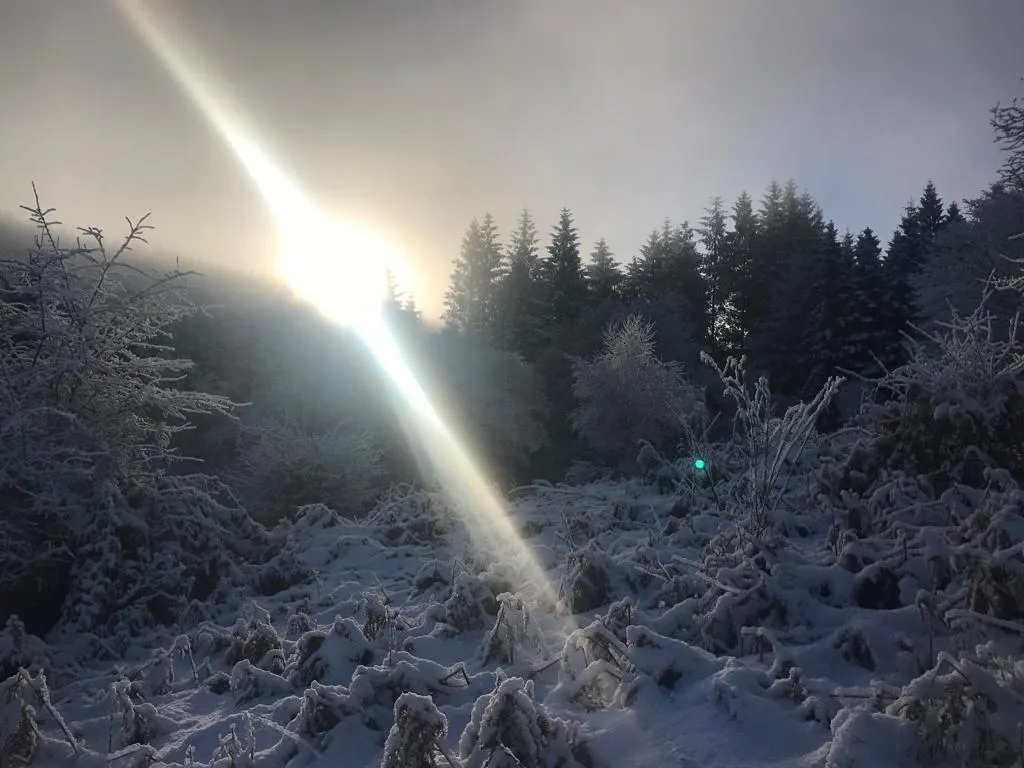 cooltrees-OIORzXZjUuxoLTxEPfpcdNOKUDceFJFcWgRjOzEFgiQ=_plaintext_638236555239164361