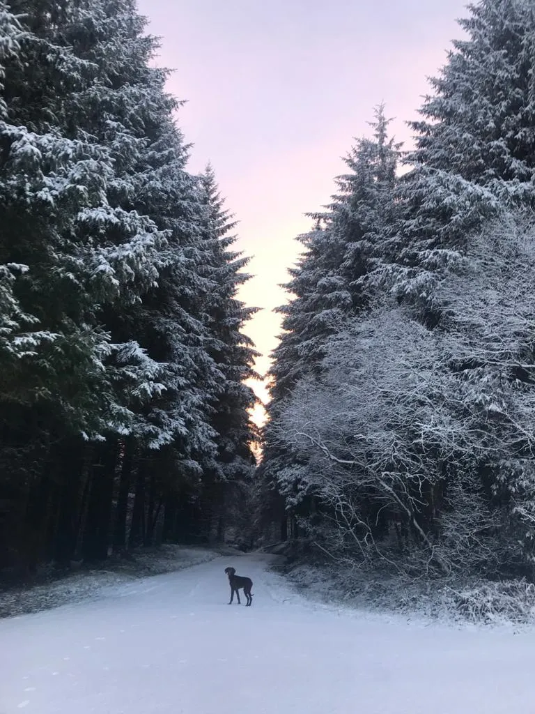 cooltrees-TqQnoK7yvJd08xddaFitvofffdwAfqnxwgVVOmqOYeg=_plaintext_638236555239536373