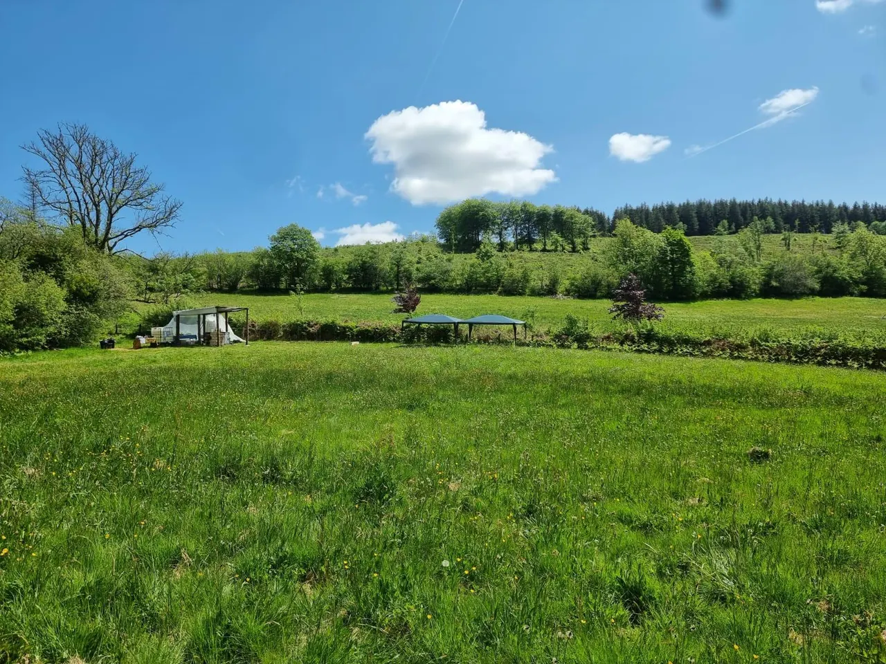 cooltrees-a728ff4e-dc85-4d9a-b17f-70aca95392c5