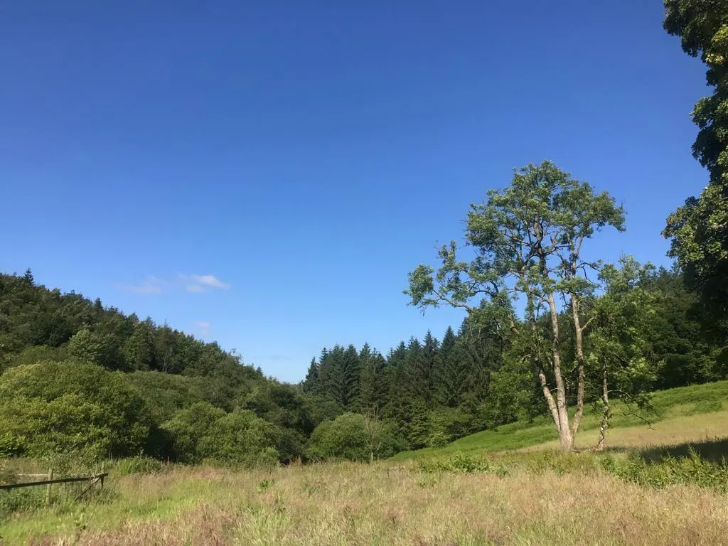 cooltrees-edb5bdff-6a16-445a-bca3-3e23726cb84b