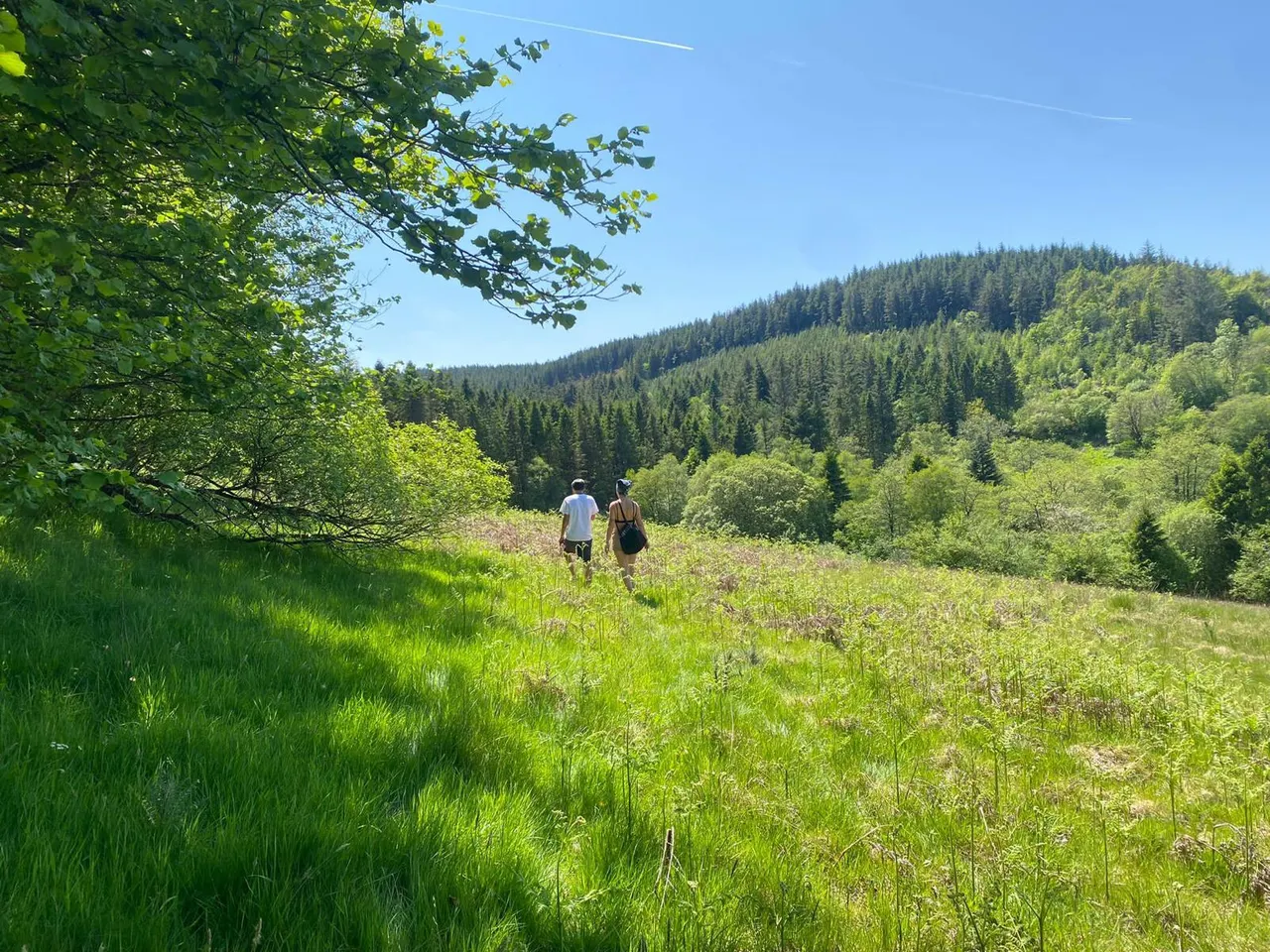 cooltrees-people-walking-land