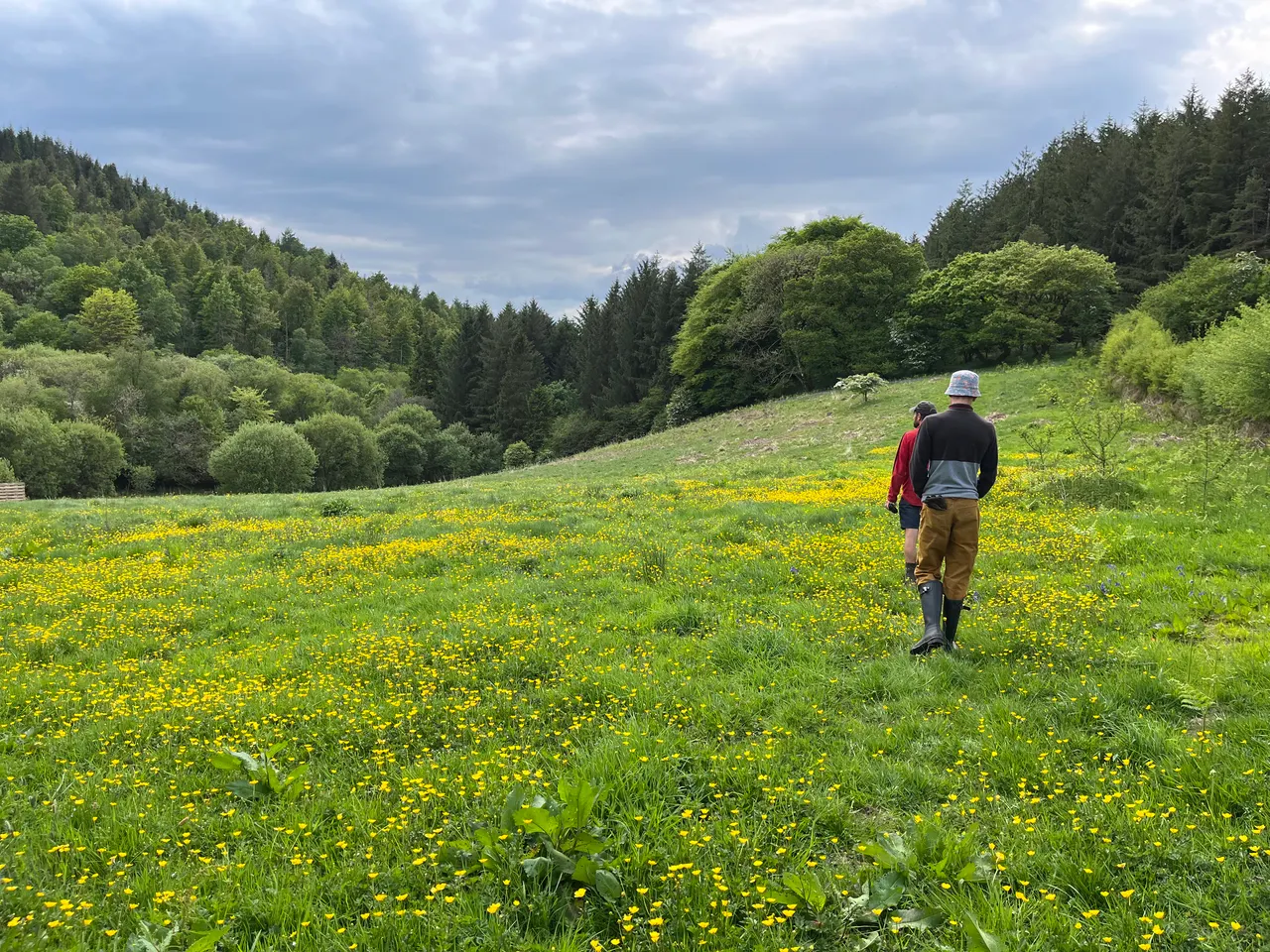 cooltrees-people_field_flowers