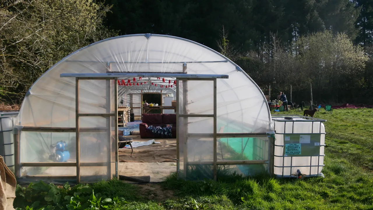 cooltrees-polytunnel_end