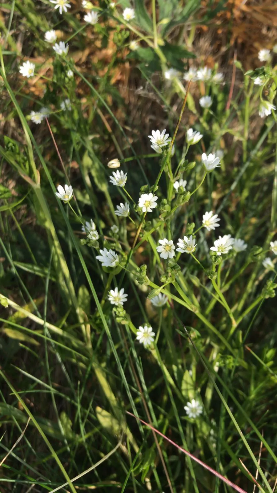 cooltrees-tHdrMkCU8FEElVQ8FaXh-FGCr6_0tMYZWHBEjXpYhPw=_plaintext_638236553819877331