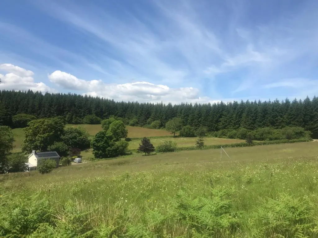 cooltrees-u_UlhREWaumsXVsdM90TdepNJdfkCuKAiafBhLyL5Ec=_plaintext_638222847918820320