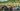 cooltrees-005_biggroup_tents