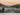 cooltrees-021_view_snow