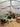 cooltrees-024_kids_polytunnel