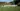cooltrees-026_polytunnel