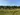 cooltrees-027_IMG_6373