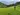 cooltrees-people_field_flowers