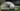 cooltrees-polytunnel_end