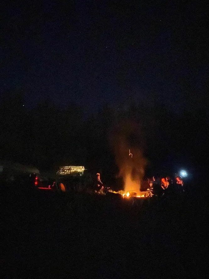 cooltrees-008_fire_night