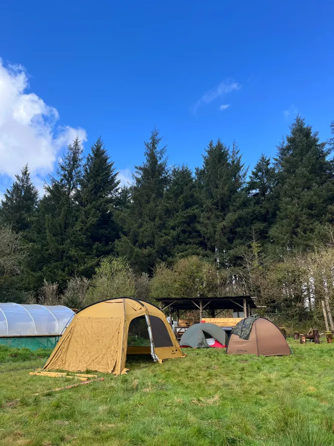 cooltrees-017_tents_use