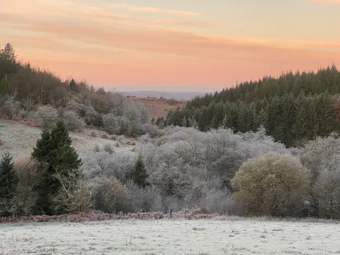 cooltrees-021_view_snow