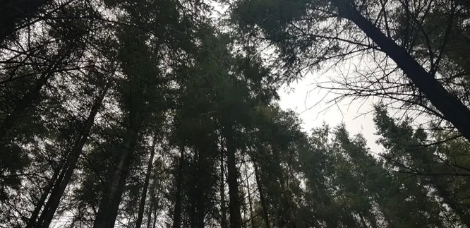 cooltrees-0wNyvh3HYWCzTR6Z5R35-JP-7DkNwb11Hx44Z_ma_L0=_plaintext_638222848086509316