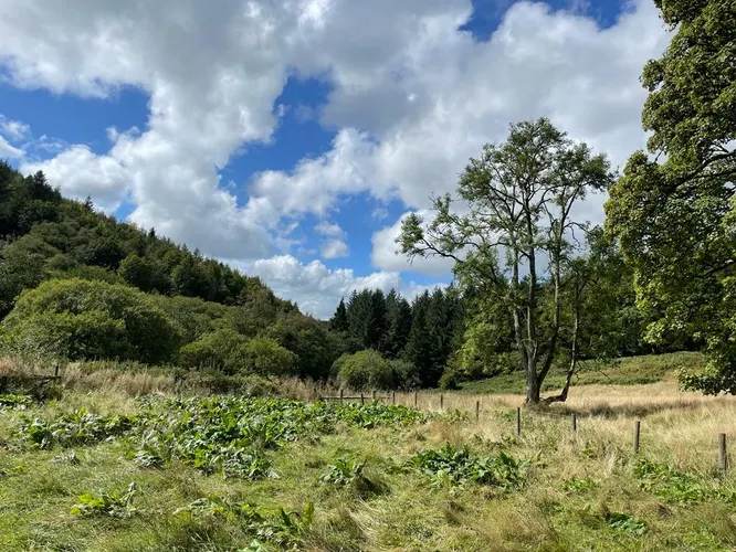 cooltrees-29f4e54a-876a-46cd-a0d6-2b7a99b542d5