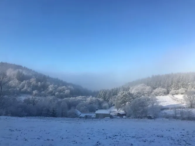 cooltrees-2XKpjNgApOJMfPC0BqWilSb6wppOk3NXt0tmCKIbDTw=_plaintext_638236555539714096