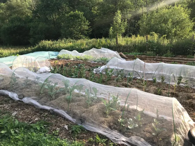 cooltrees-80fb8f27-1c46-44cd-a3fc-478f478d9ae5