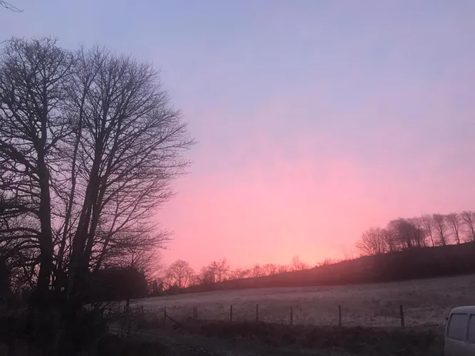 cooltrees-8bf8kHSE5nSVmEBD3tC7XrGfpE7iEv7nWTNOb03r6cQ=_plaintext_638222848100179958