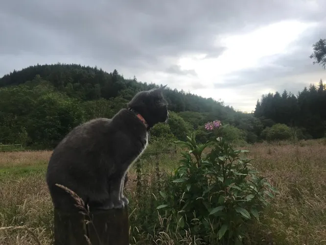 cooltrees-G1vJfc4mYdmKu88Yp1whDDj2_7Iah6s0sXeQRgSWYjI=_plaintext_638236554766090607