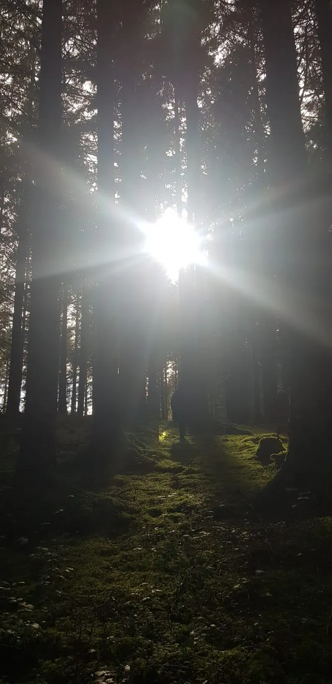 cooltrees-IMG-20230628-WA0073