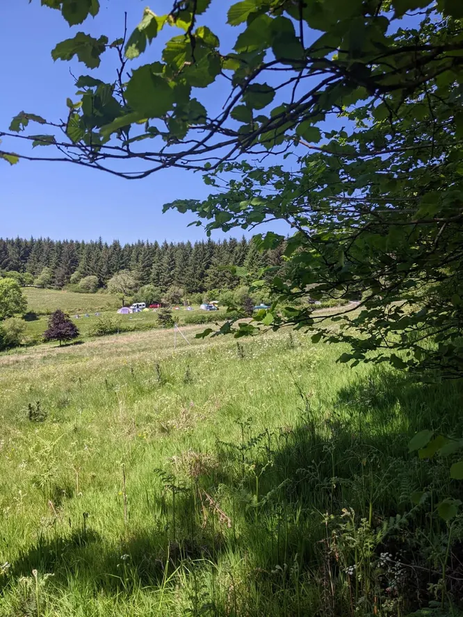 cooltrees-NdG7aQjCDUET8JwcCIm7pm6DbzWP8rKPRWbLEnNGewg=_plaintext_638236555132602847