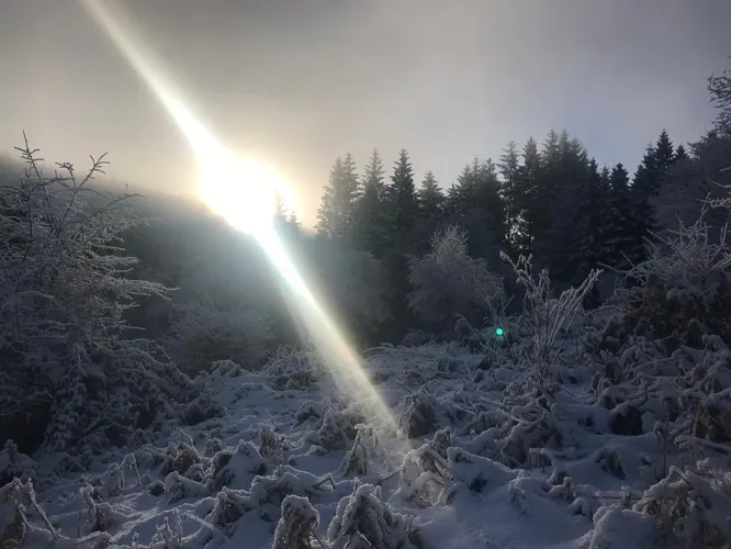 cooltrees-OIORzXZjUuxoLTxEPfpcdNOKUDceFJFcWgRjOzEFgiQ=_plaintext_638236555239164361