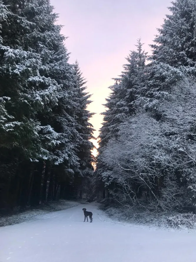 cooltrees-TqQnoK7yvJd08xddaFitvofffdwAfqnxwgVVOmqOYeg=_plaintext_638236555239536373