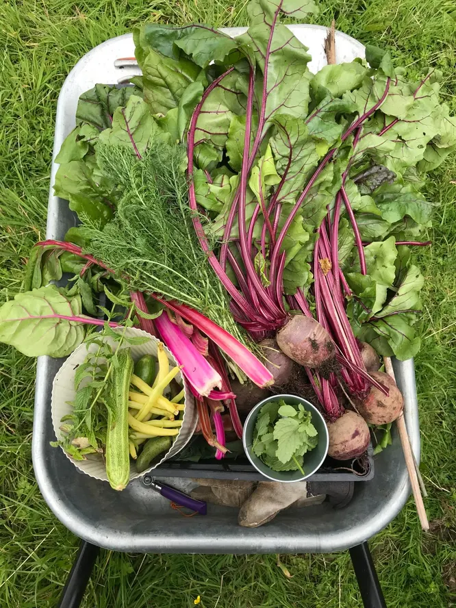 cooltrees-f909b6c6-e1ef-47ec-bd10-6a5389ea907f