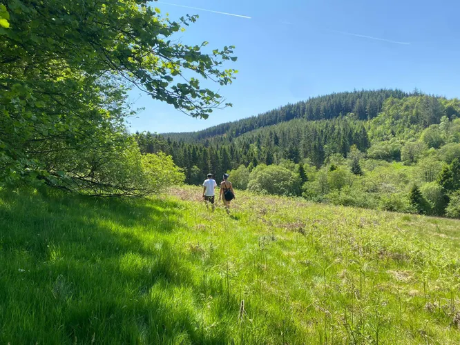 cooltrees-people-walking-land