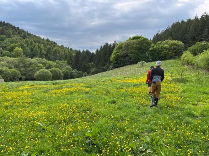 cooltrees-people_field_flowers
