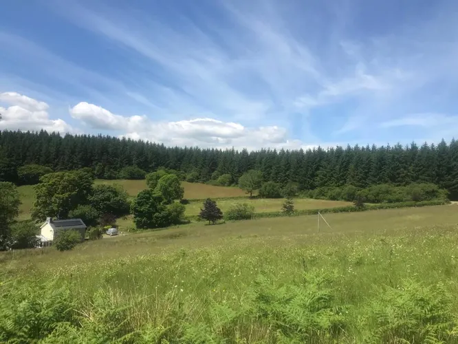 cooltrees-u_UlhREWaumsXVsdM90TdepNJdfkCuKAiafBhLyL5Ec=_plaintext_638222847918820320